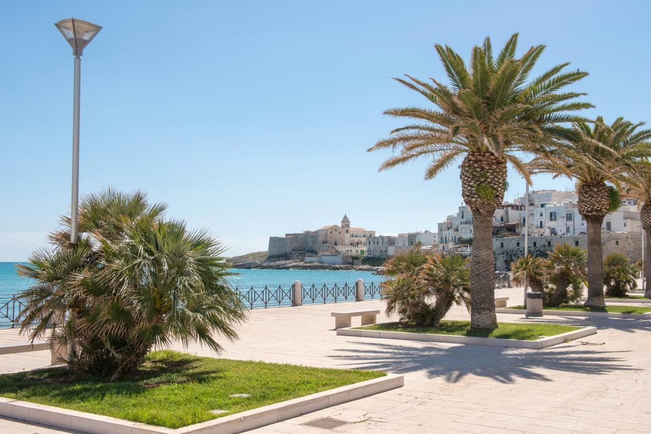 Vieste Mon Amour Yourvacanza 외부 사진
